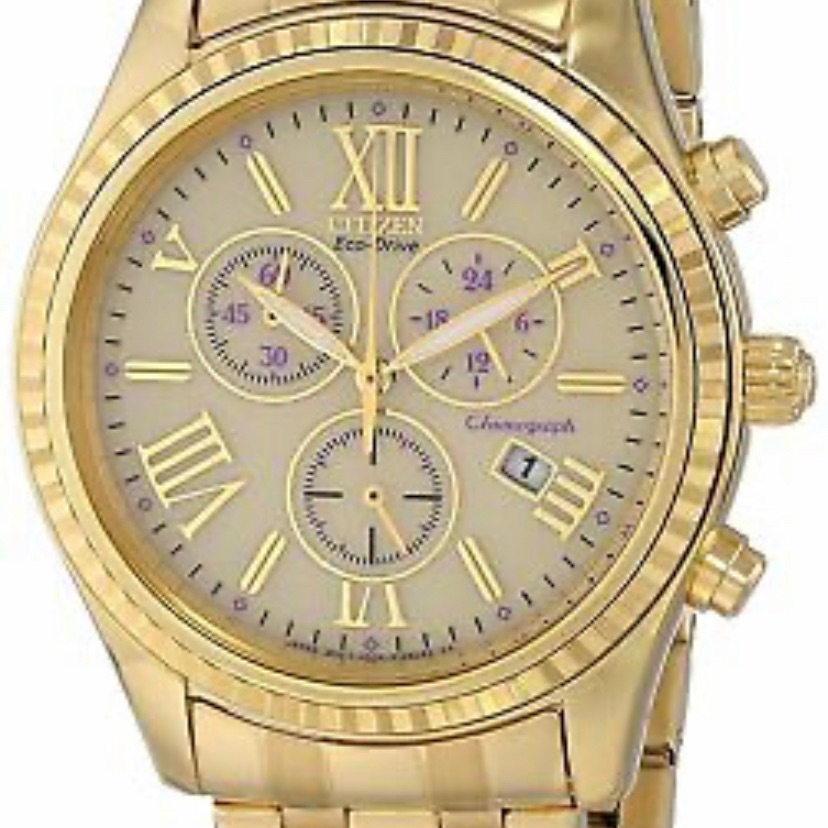 Citizen EcoDrive Gold And Silver Ladies Watch